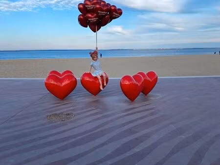 appartement en location