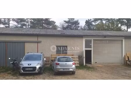 location entrepôt 650 m²