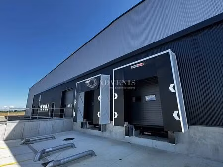 location entrepôt fegersheim 67640 1879m² à 3859m²