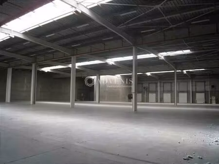 location entrepôt 3 687 m²