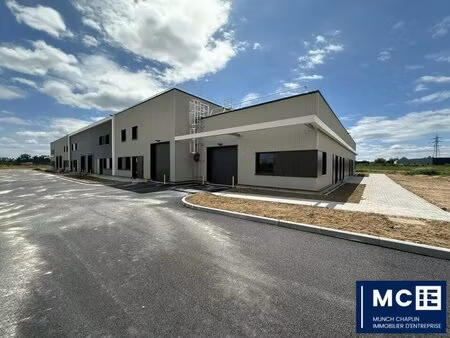 location local d’activités bergheim 68750 150m² à 2878m²