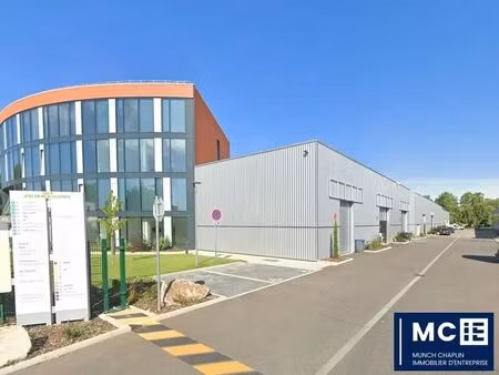 location local d’activités bischheim 67800 195m² à 671m²