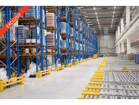 location local d'activités 2 000 m² à 6 000 m²