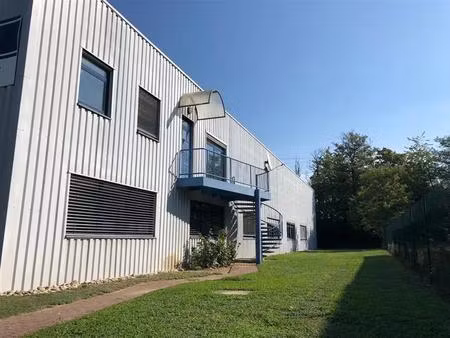 location local d’activités geispolsheim 67118 446m²