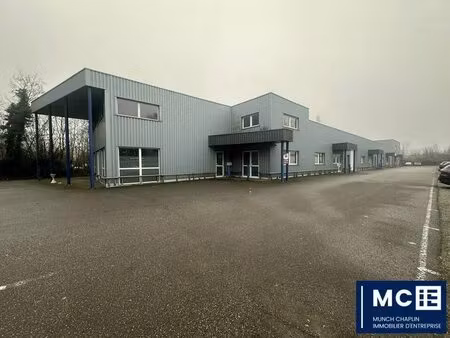 location local d’activités geispolsheim 67118 740m²