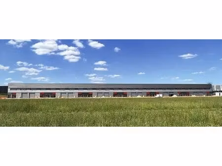 location entrepôt 3 932 m²