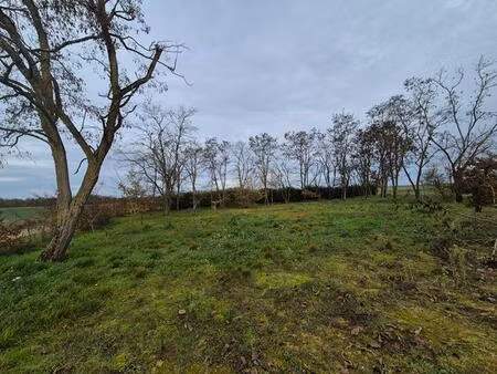 terrain chissay-en-touraine vue sur le cher