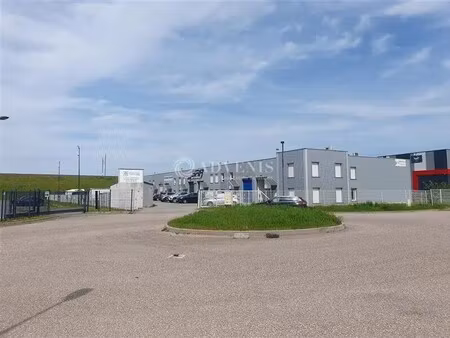 location local d'activités 375 m² à 993 m²
