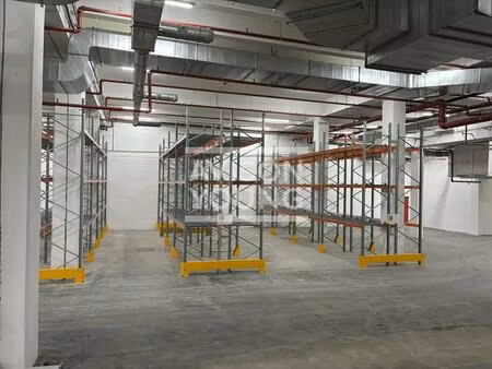 location local d’activités paris 75013 234m²