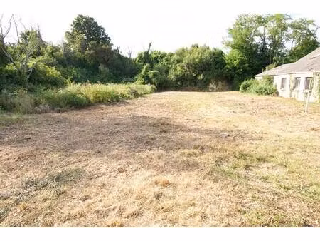 vente terrain 1013 m² massay (18120)