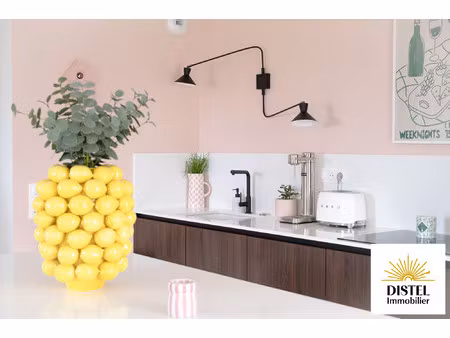 achat appartement 4 pièces 84m² vendenheim 67550