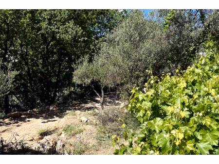annonce terrain à vendre