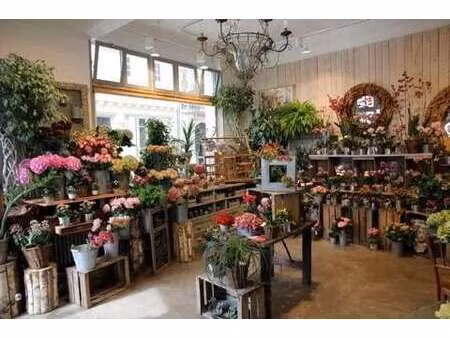 location commerce 540 m²