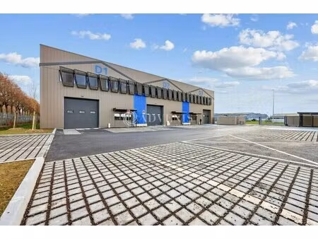 location local d'activités 451 m² à 916 m²