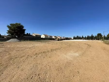 location commerce 81 m² à 556 m²