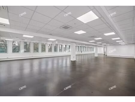 location local professionnel 278m²