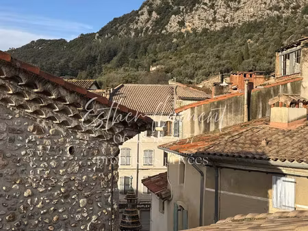 vente immeuble 318 m² anduze (30140)