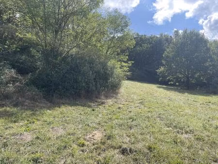 terrain une partie constructible avec terrain boisé.