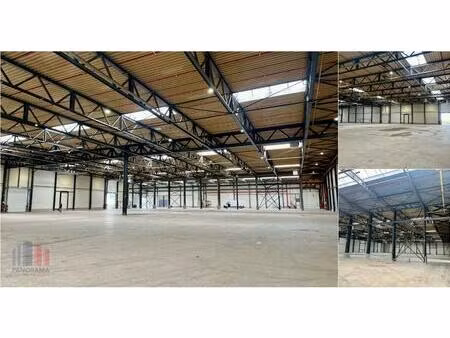 surface industrielle à louer à oosterring 12 genk (rbv60660)