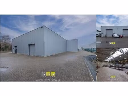 surface industrielle à louer à industrieweg-noord 1118 opglabbeek (rbv61014)