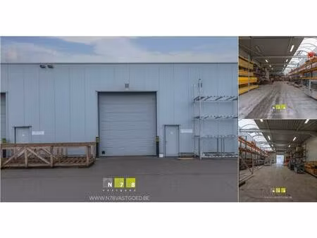 surface industrielle à louer à industrieweg-noord 1118 opglabbeek (rbv61017)