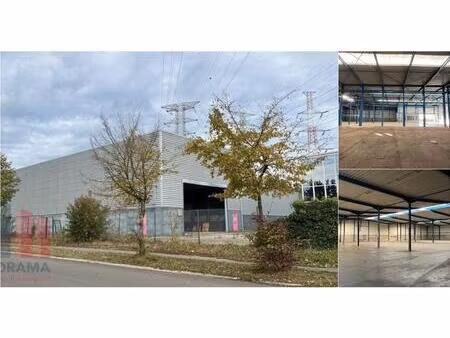 surface industrielle à louer à zevenputtenstraat 28 zutendaal (rbv60670)