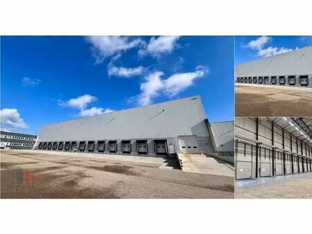 surface industrielle à louer à slingerweg 40 genk (rbv60661)