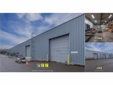 surface industrielle à louer à industrieweg-noord 1118 opglabbeek (rbv61019)