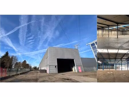 surface industrielle à louer à zevenputtenstraat 28 zutendaal (rbv60671)