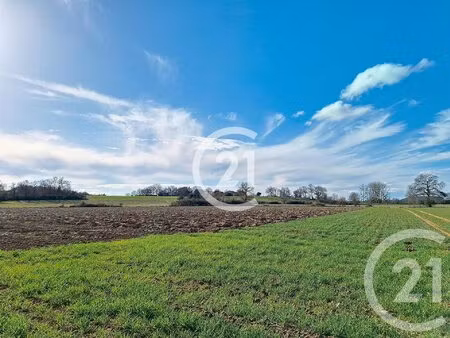 achat : terrain (81500)