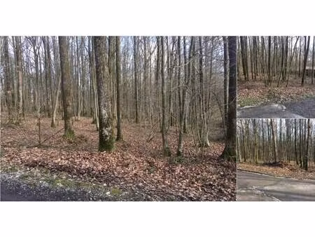 terrain à vendre à allée des sansonnets 417 philippeville (vbe04151)