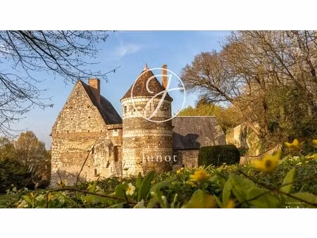 château à vendre à bonneveau