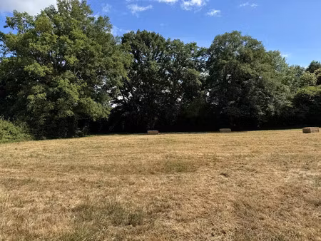 vente terrain à châteaubriant centre (44110) : à vendre / 1599m² châteaubriant centre