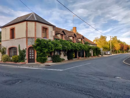 vente immeuble 340 m² la ferté-saint-cyr (41220)