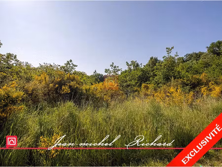 vente maison 101030 m² le controis-en-sologne (41700)