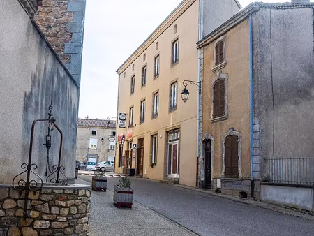 vente immeuble 270 m² néronde (42510)