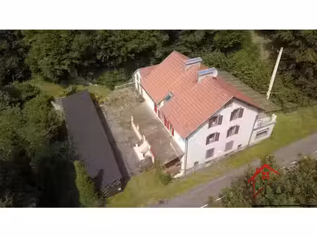 vente maison 12 pièces 292 m² à la petite-pierre (67290)  480 000 €