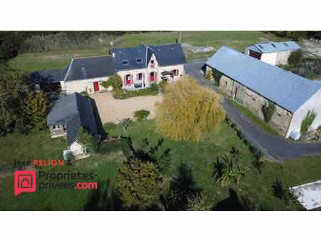 vente maison 9 pièces 190 m² segré-en-anjou bleu (49520)