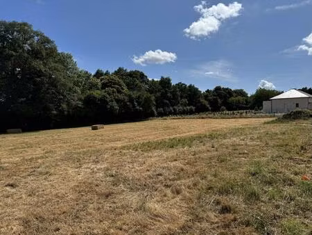 vente terrain 1632 m² châteaubriant (44110)