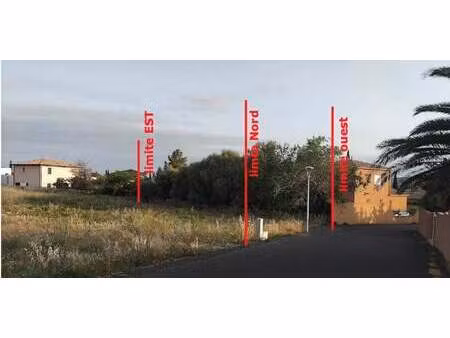 terrain la palme (11)