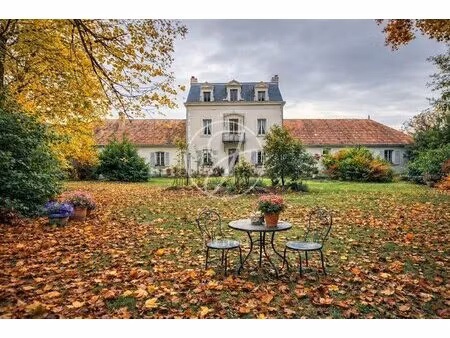 loches-indre- maison de caractère avec maison d'amis et dépendances - 1ha7 à vendre.