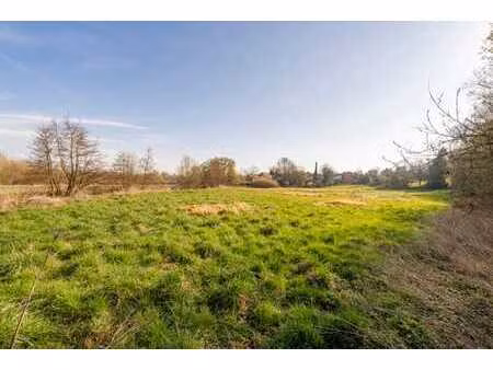 terrain à bâtir et agricole 7921 m² au calme à braives