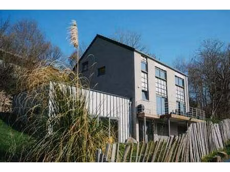 maison 3ch + 2sdb + annexe polyvalente a vendre a harze