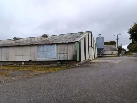 vente maison 2 pièces le saint (56110)