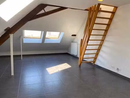 beau studio duplex en plein centre ville