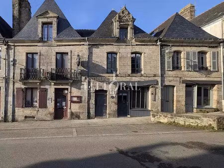 vente maison 14 pièces 367 m² à guémené-sur-scorff (56160)  700 000 €