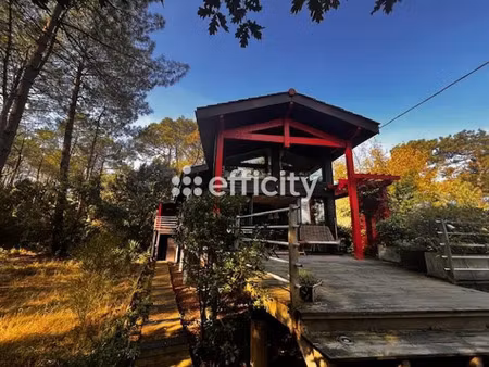 vente maison 5 pièces 100 m² à lacanau (33680)  812 000 €