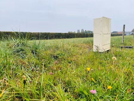 vente local industriel 948 m² nécy (61160)