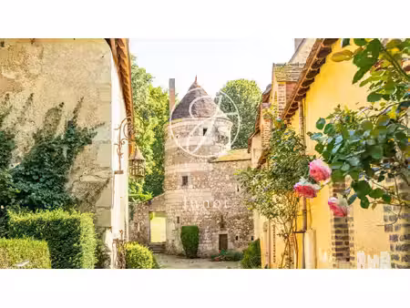 vendôme - loir-et-cher - château ismh du xiiie et xve siècles à vendre.