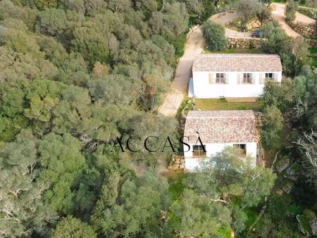 ensemble immobilier de deux maisons récentes à ogliastrello  figari